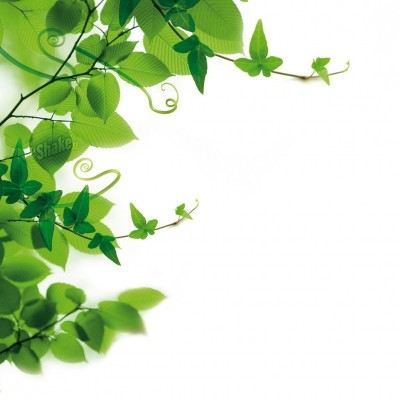 Osvežilec za avto Levander