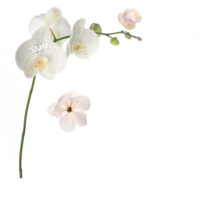 Osvežilec za avto White Musk