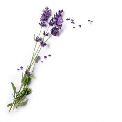 Osvežilec za avto Exotic