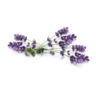 Osvežilec za avto Gentleman - Moški